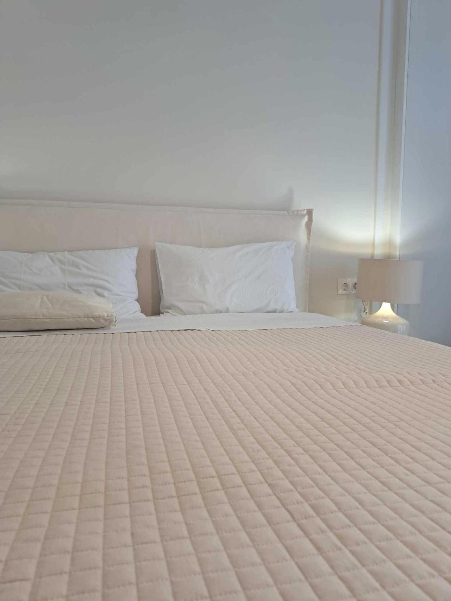 דירות אתונה Acropolis Flat מראה חיצוני תמונה